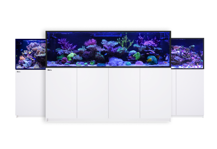 REEFER G3+ | The perfect foundation for any thriving reef