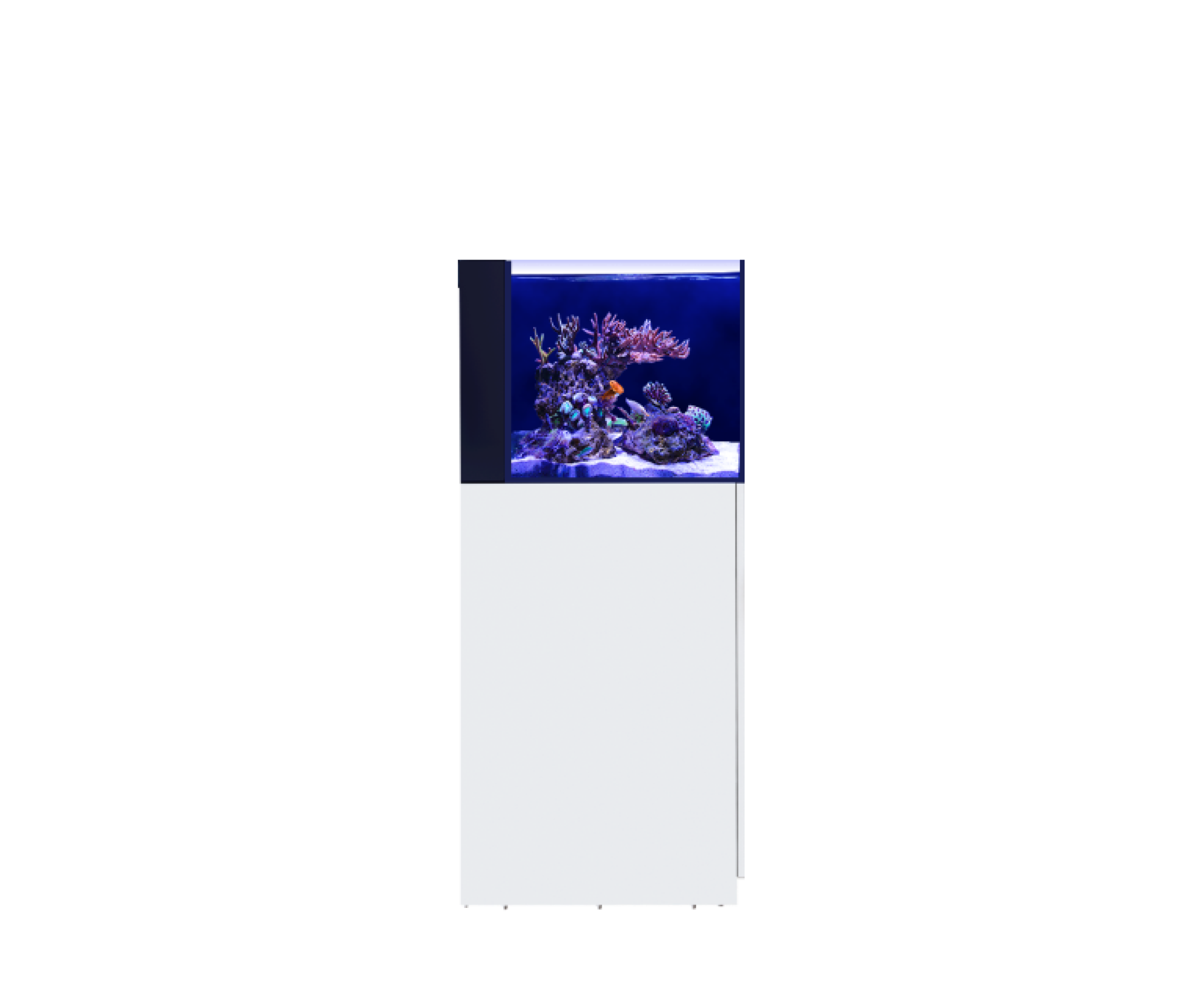 Red Sea Reef Aquariums - Compare & select for the perfect reef system.