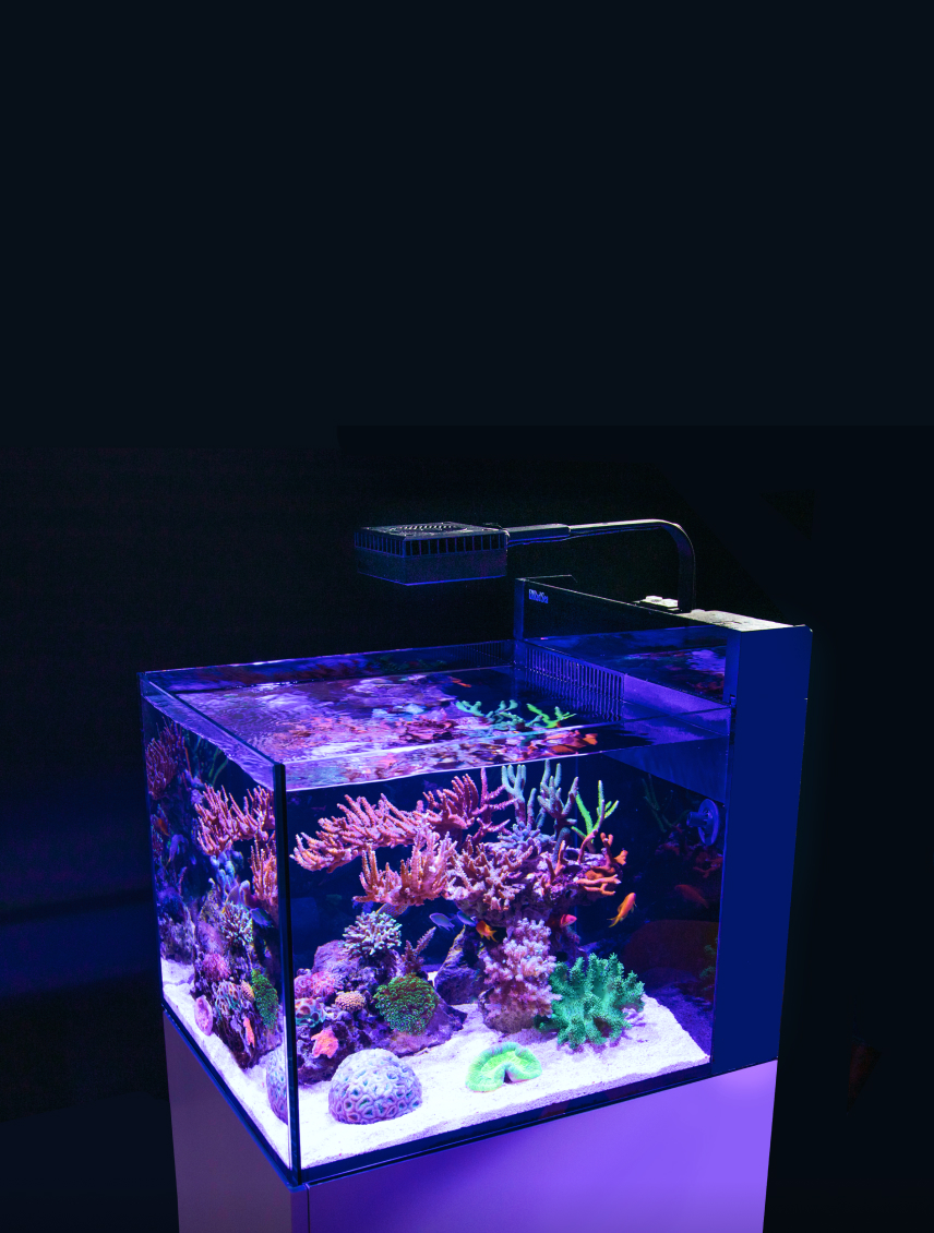 レッドシー リーファー MAX nano red sea reefer 水槽 - 東京都のその他