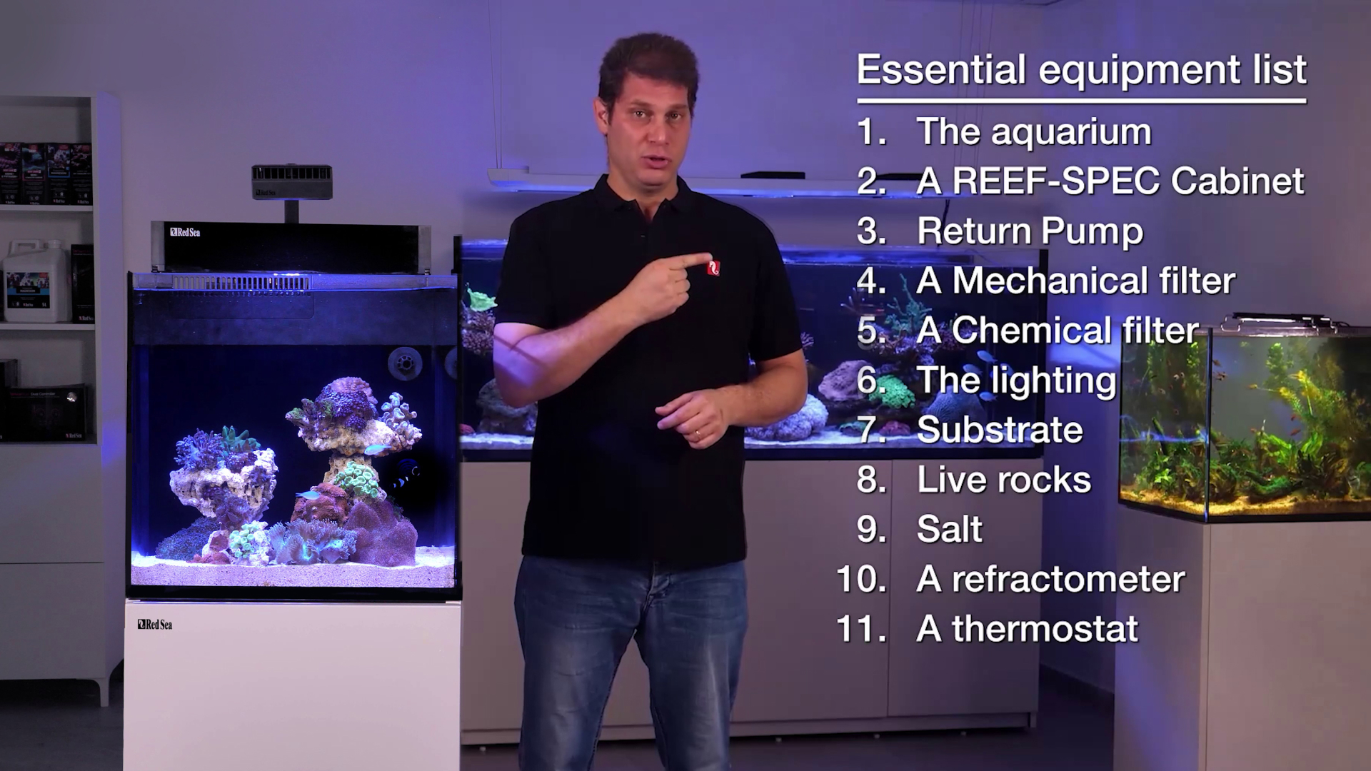 Get ready to dive deep into the fascinating world of reef aquariums!