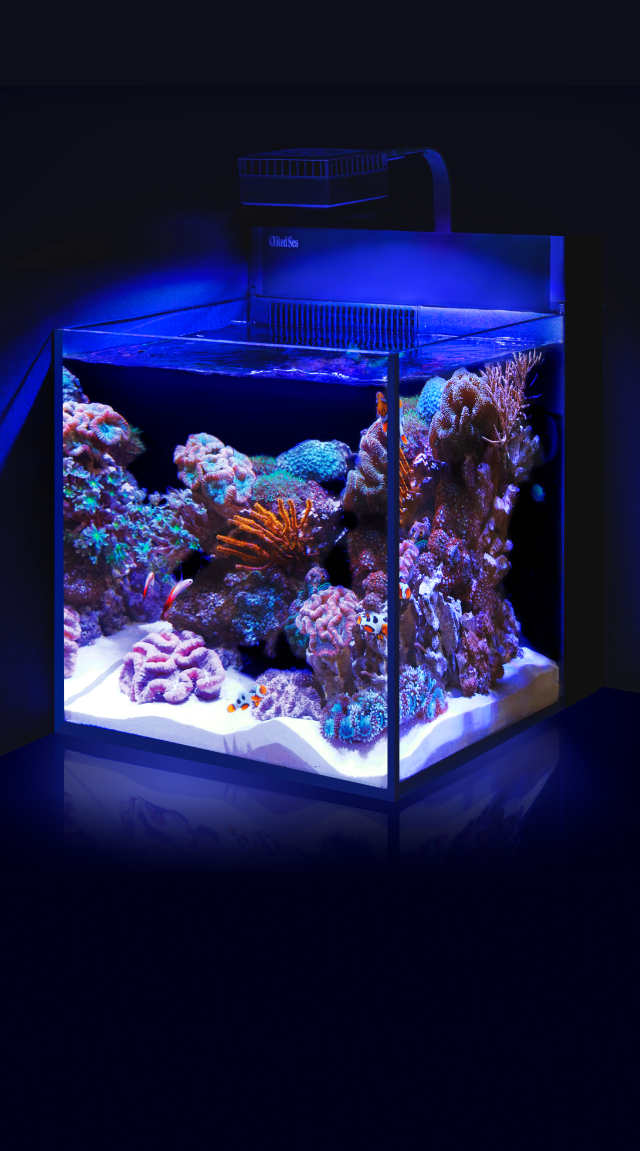 Mini Aquarium Lamp with Rolling Screen