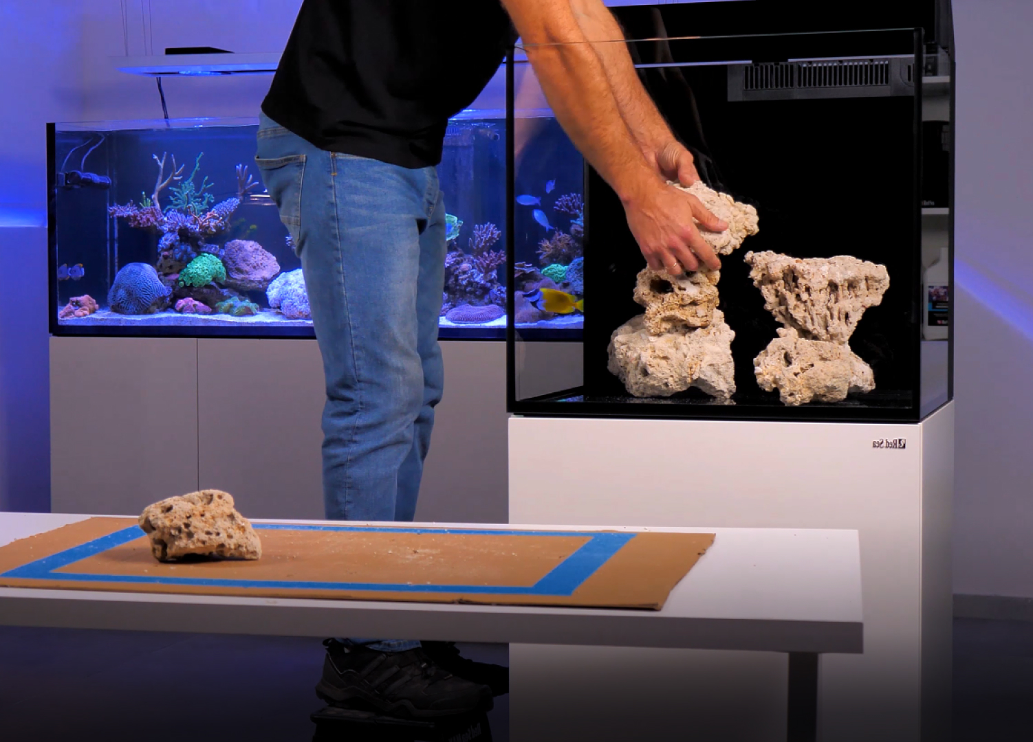 My first reef aquarium video series Blog