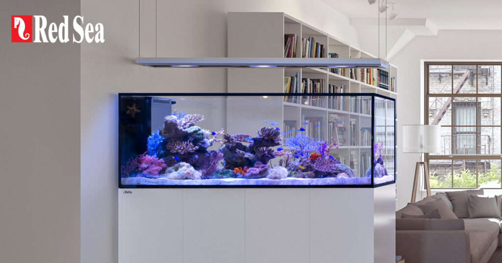 Red Sea REEFER 350 G2 水槽 楽天市場】（超大型）オーバーフロー水槽 レッドシー