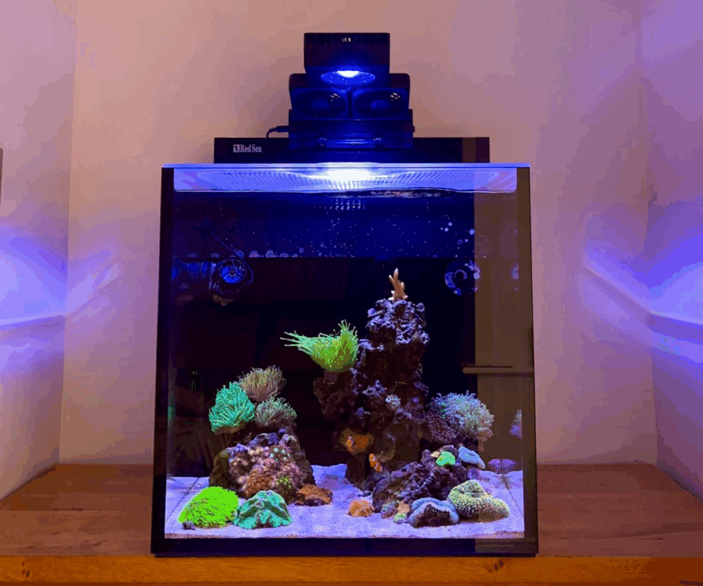 Paul Harpham | MAX NANO Cube