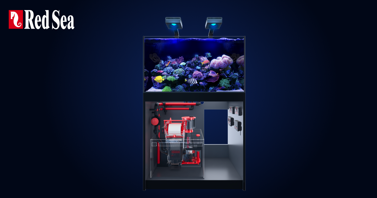 Shop-locator - Red Sea Fish