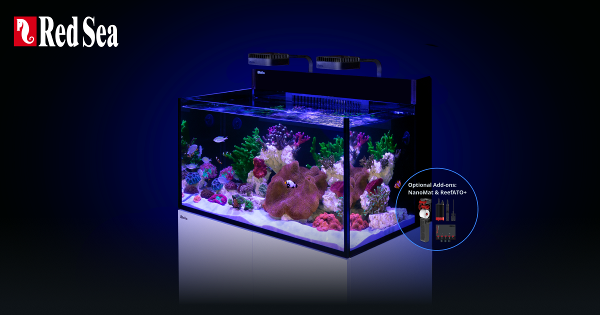 Red Sea Reefer Aquarium Max Nano XL G2 — Reef Supplies Canada