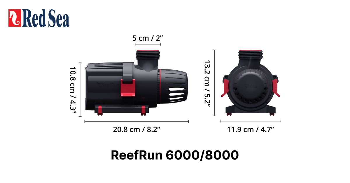 Share-image.ReefRun-G2.png