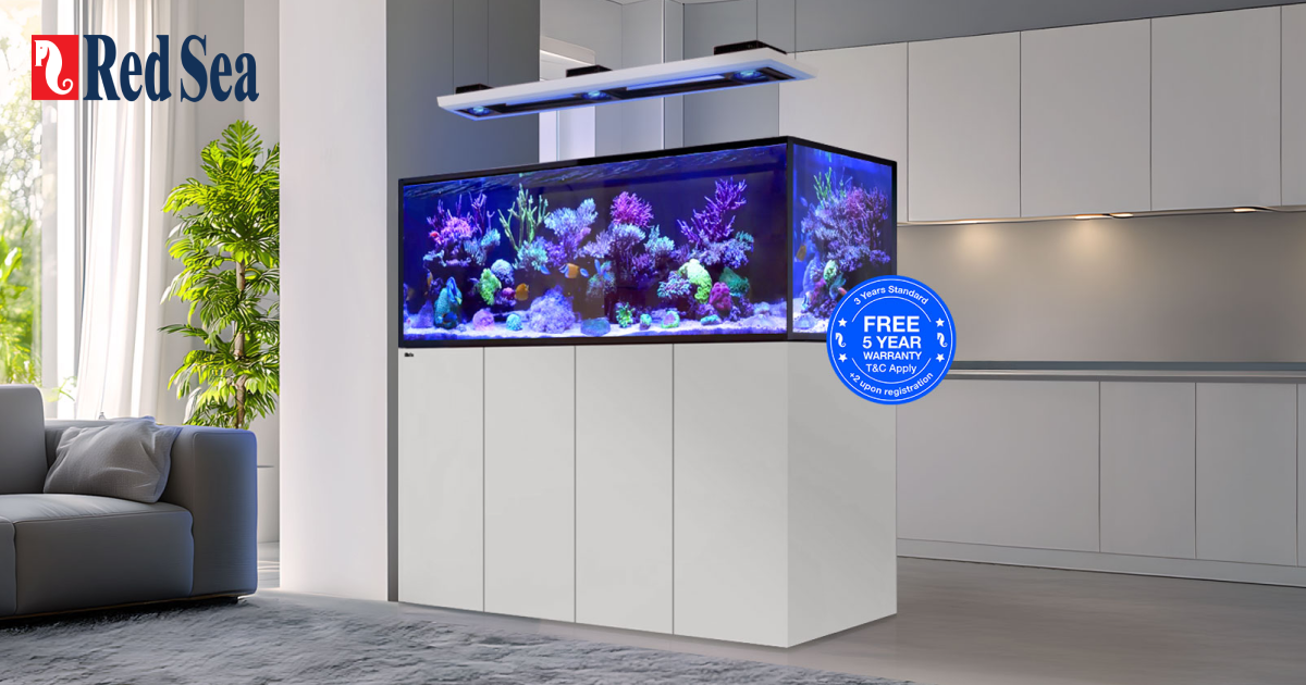 Red Sea REEFER 350 G2 水槽 Red Sea REEFER 350 G2 水槽