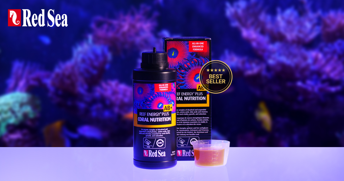 Reef Energy Plus - Red Sea Fish
